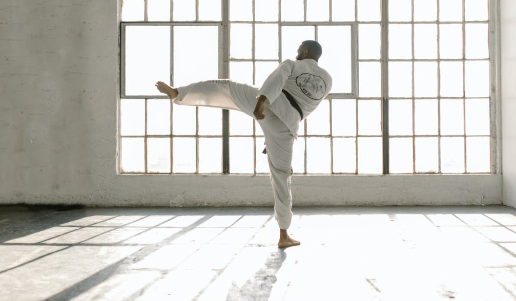 What are some of the best martial arts today?