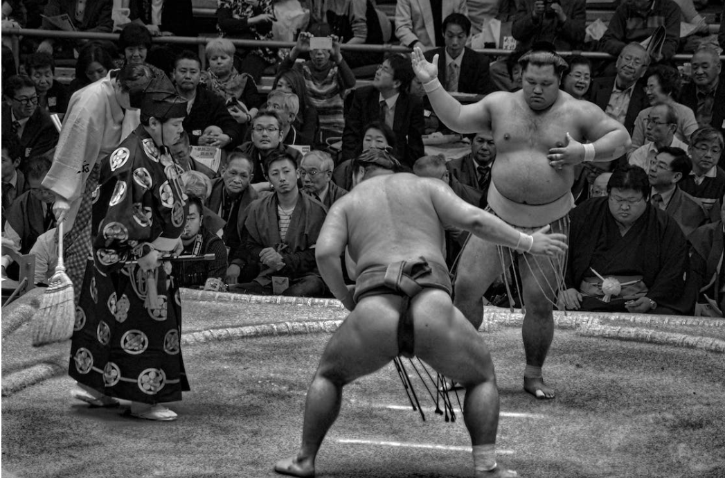 What is the history of Sumo ?