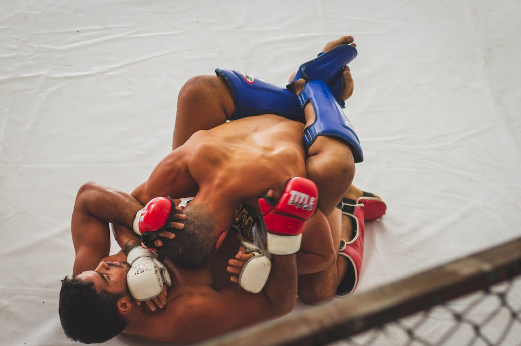 What is the history of mixed martial arts?